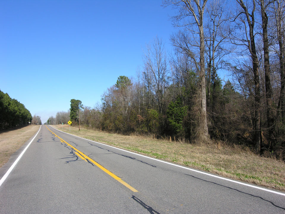 112.72 acres cultivated & wooded West Burke County, Shivers
