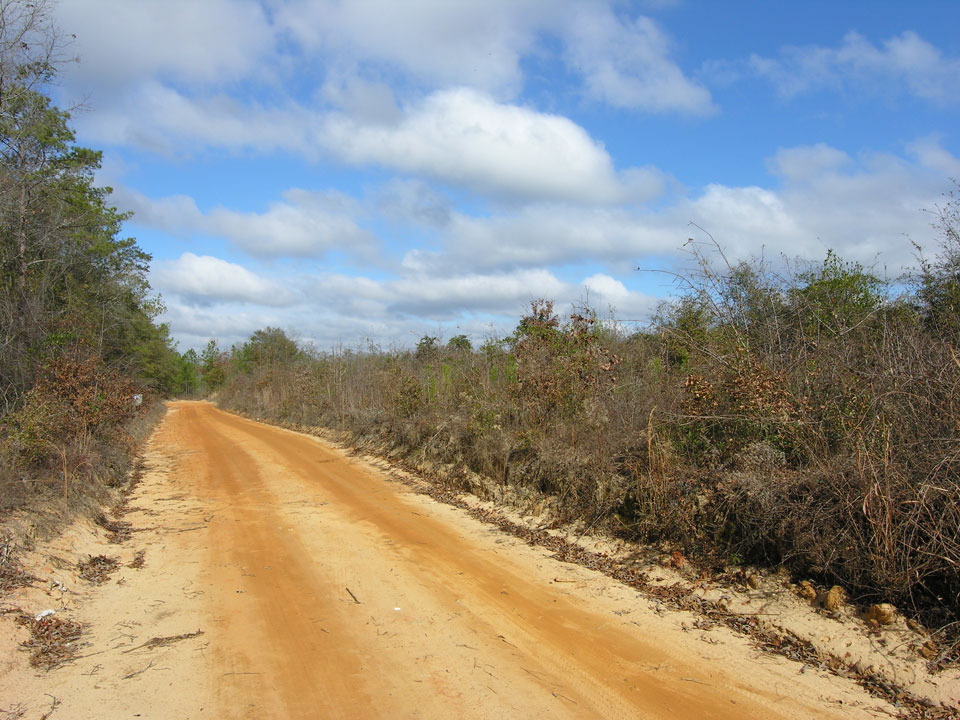 975/acre; 106+ acres wooded ster County, Preston,