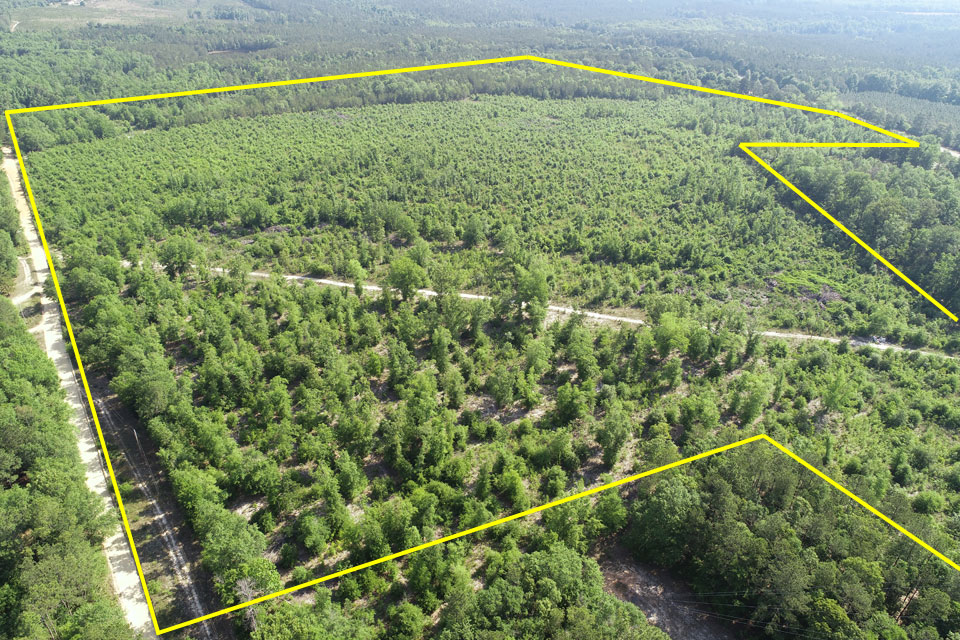 975/acre; 106+ acres wooded ster County, Preston,