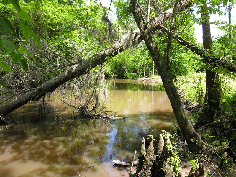 787+ acres with home, pasture, wooded, on Brier Creek Burke County