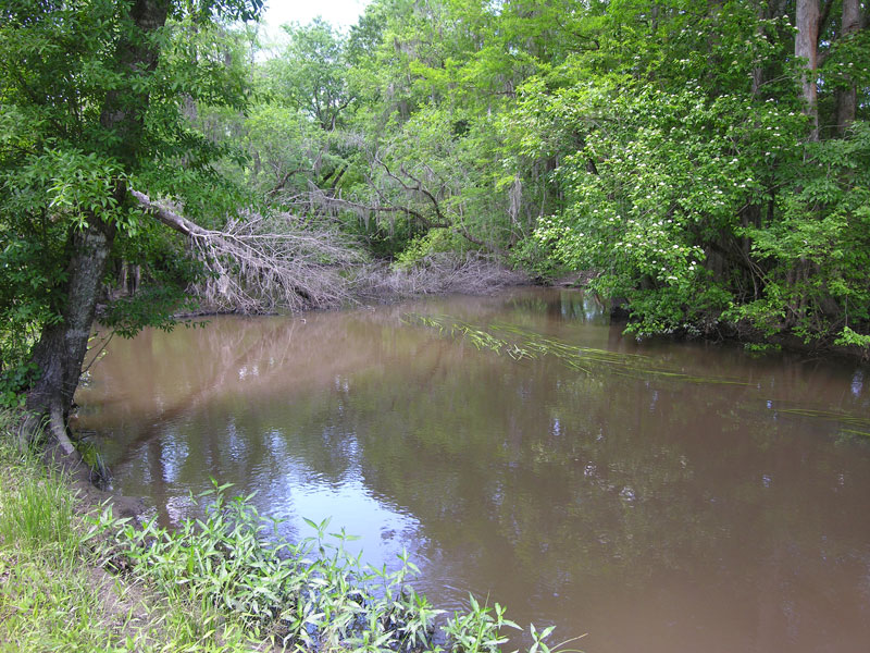 787+- acres with home, pasture, wooded, on Brier Creek - Burke County ...