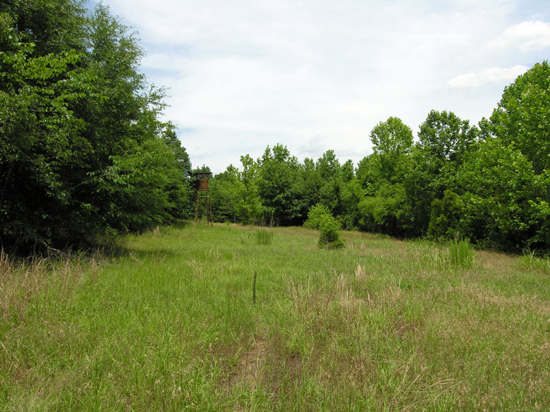 88.4 acres OWNER FINANCING, wooded, McIntosh Creek Burke County