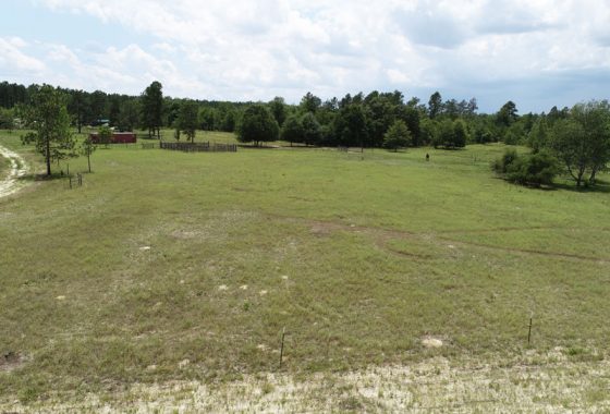 photo of listed property