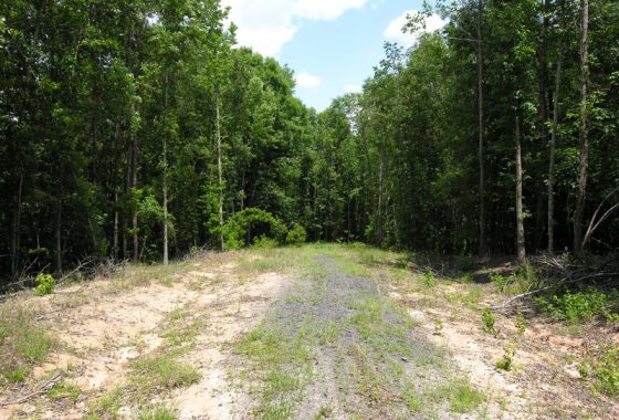 photo of listed property