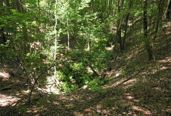photo of listed property