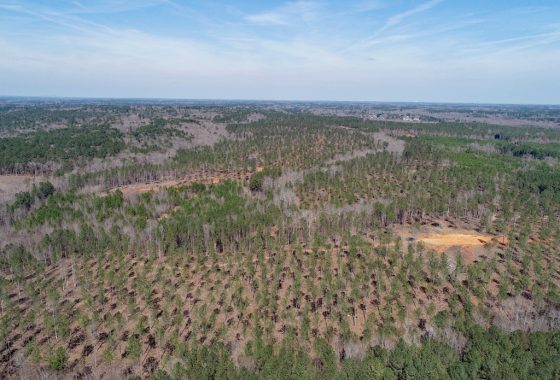 photo of listed property