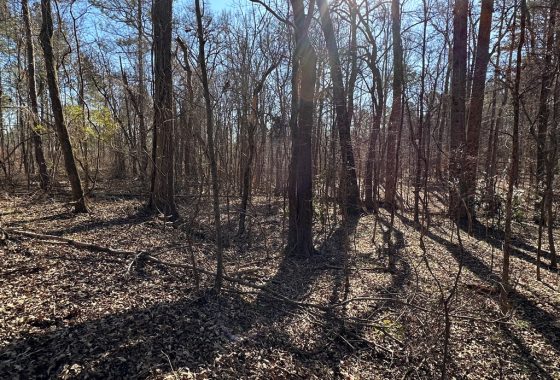 photo of listed property