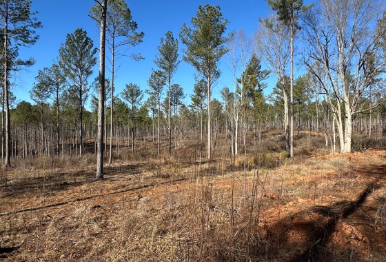 photo of listed property