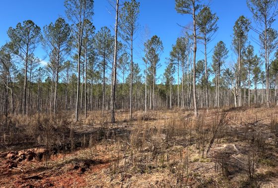 photo of listed property