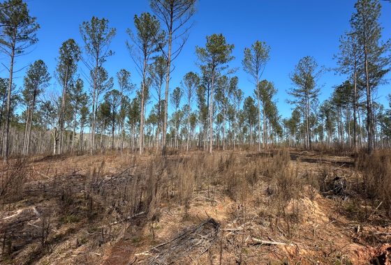 photo of listed property