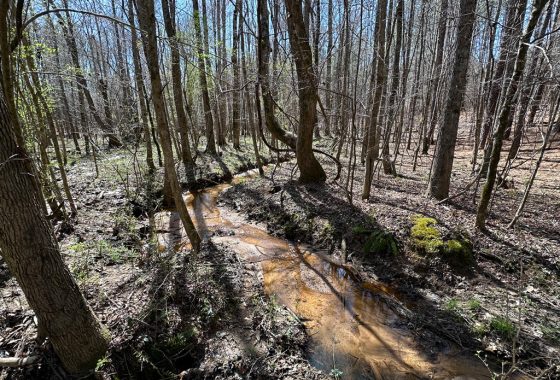 photo of listed property