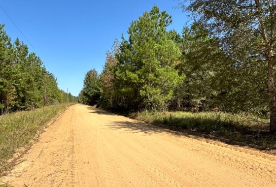 photo of listed property