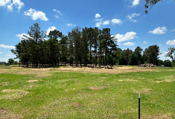photo of listed property
