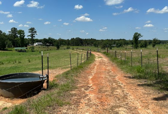 photo of listed property