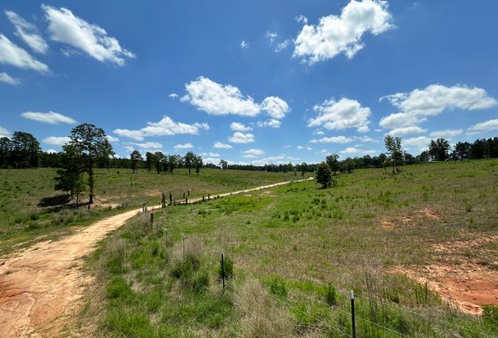 photo of listed property