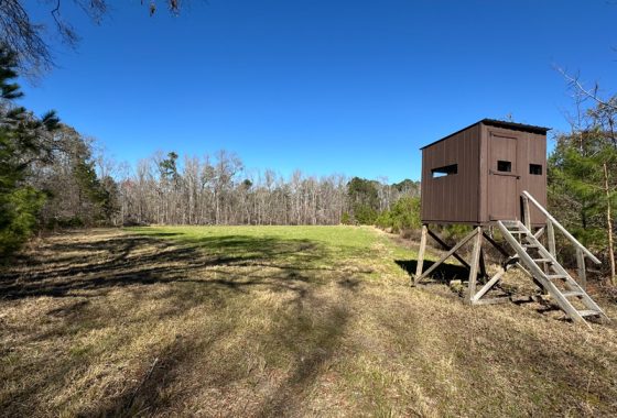 photo of listed property