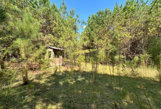 photo of listed property