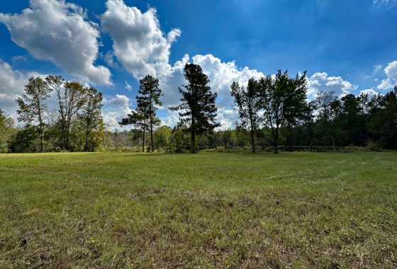 photo of listed property