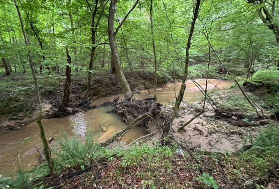 photo of listed property