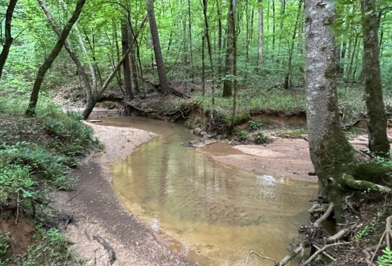 photo of listed property