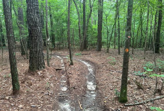 photo of listed property