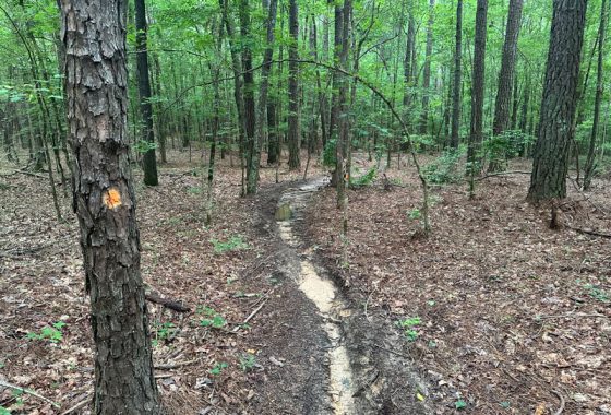 photo of listed property