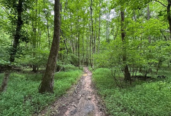 photo of listed property