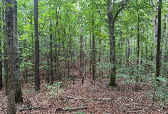 photo of listed property