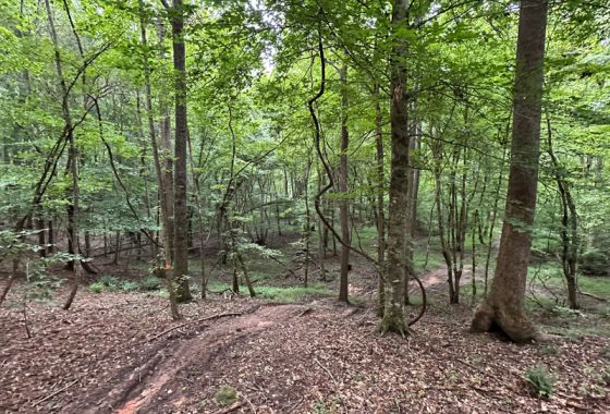 photo of listed property