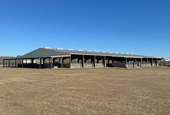 photo of listed property