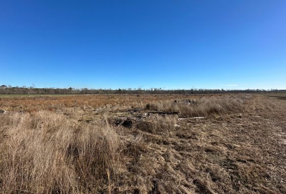 photo of listed property