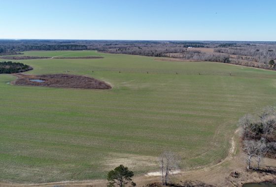 photo of listed property