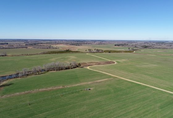 photo of listed property