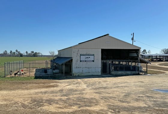 photo of listed property