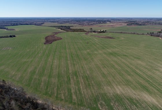 photo of listed property