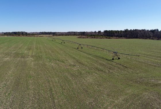 photo of listed property