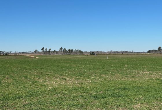 photo of listed property