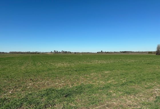 photo of listed property