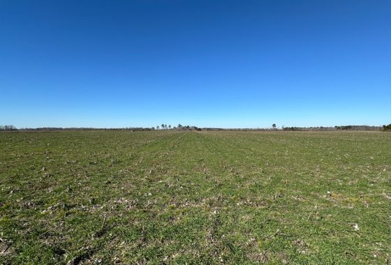 photo of listed property