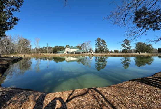 photo of listed property