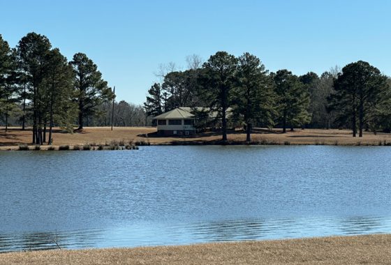 photo of listed property