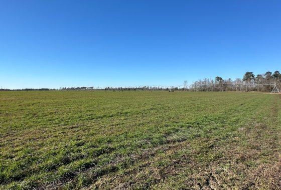 photo of listed property