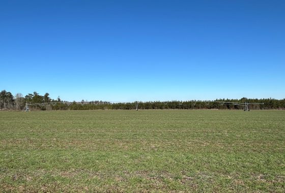 photo of listed property