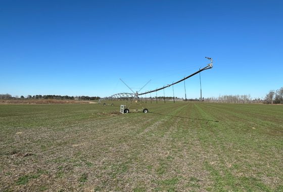 photo of listed property