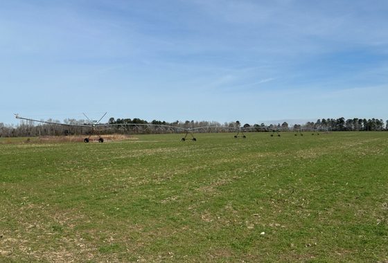 photo of listed property