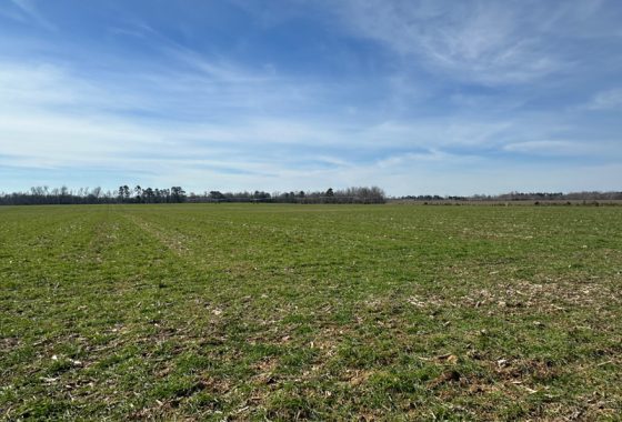 photo of listed property