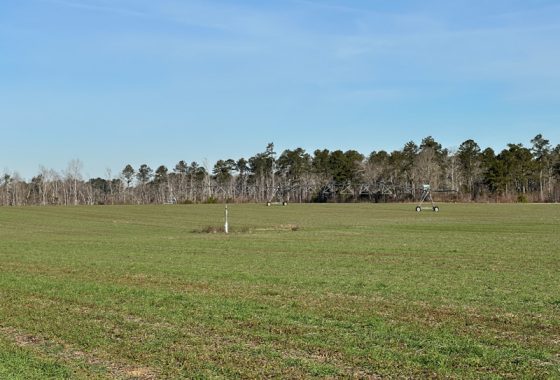 photo of listed property