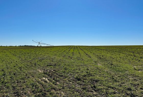 photo of listed property