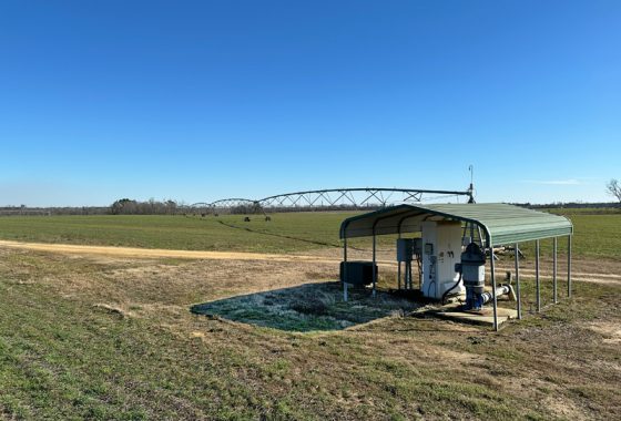 photo of listed property