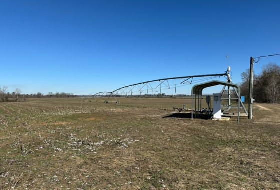 photo of listed property